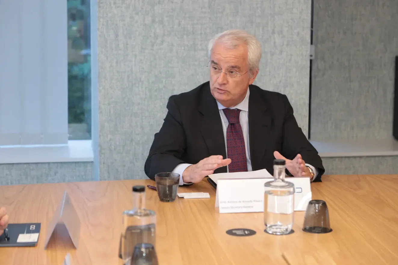 Ambassador de Almeida Ribeiro